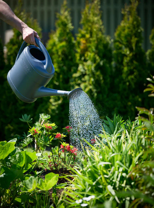 Schou - Vandkande - 10 Liter