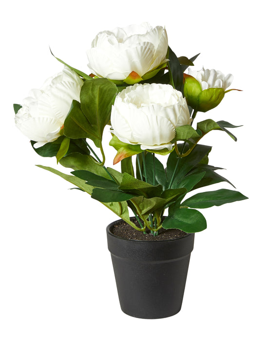 Dacore - Pæon I Potte 31 Cm. Polyester/Plast - Hvid