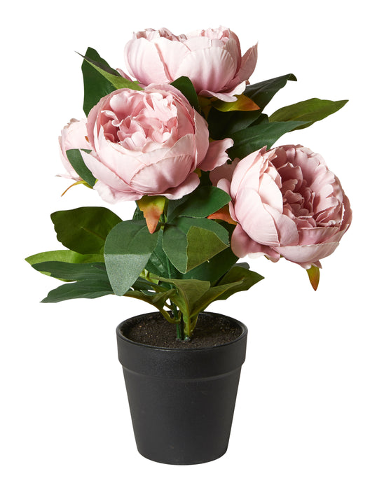 Dacore - Pæon I Potte 31 Cm. Polyester/Plast - Rosa